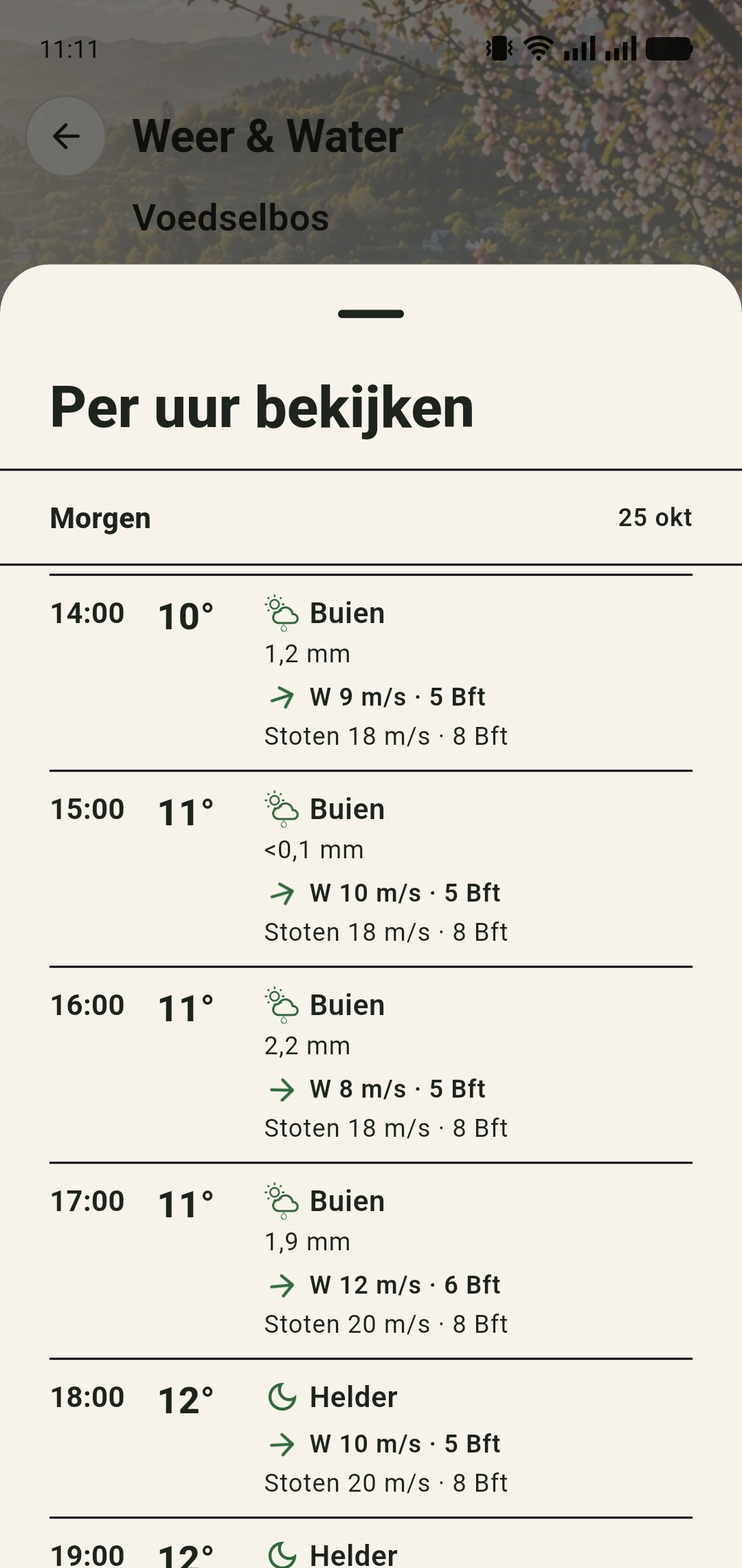 Weersverwachting per uur