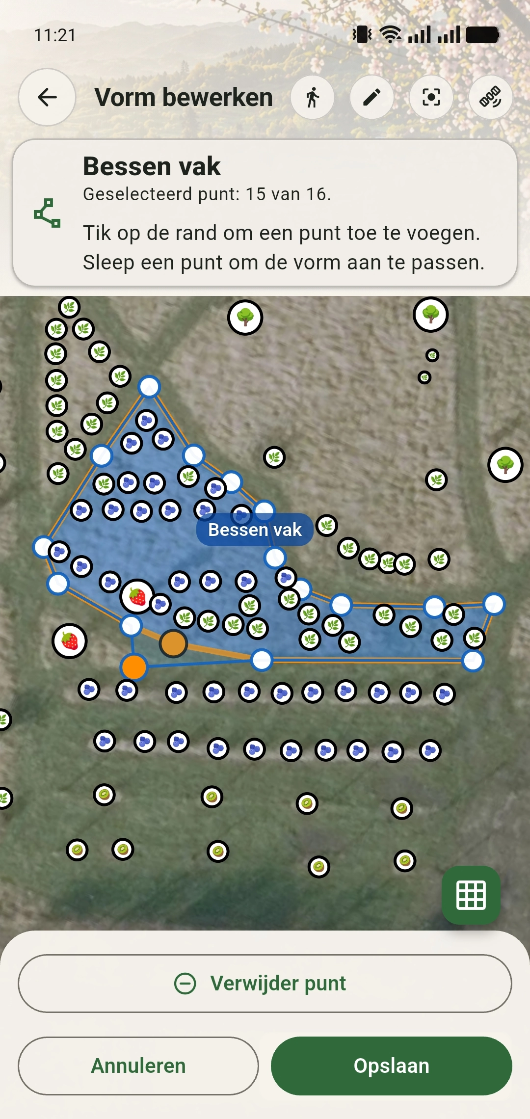 Bessen vak tijdens het intekenen en beheren in GreenPlot