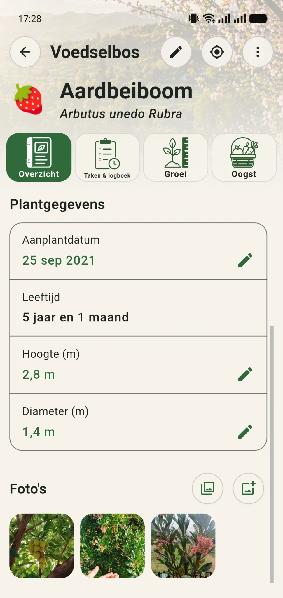 Gecorrigeerd plantdossier van aardbeiboom met plantdatum en drie fotos