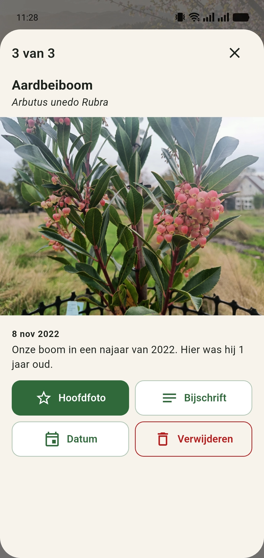 Bekijk een andere opname van dezelfde plant in GreenPlot