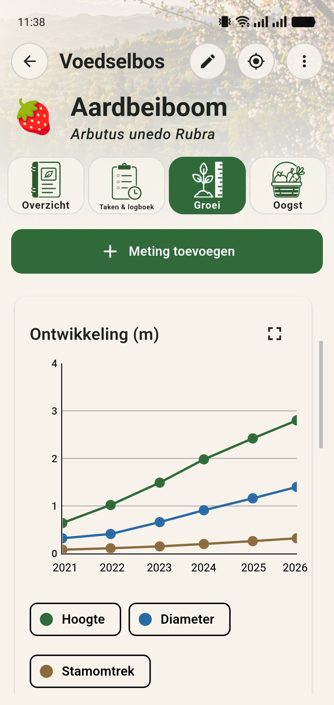 Groeigrafiek aardbeiboom met meerdere meetmomenten en metingen