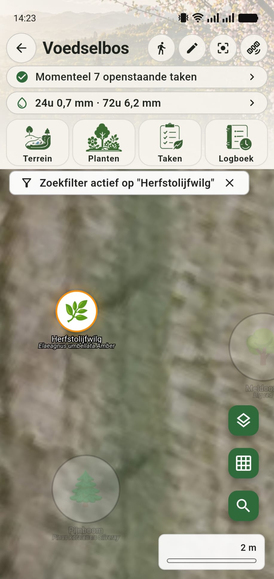Herfstolijfwilg teruggevonden met de zoekfunctie op de GreenPlot kaart
