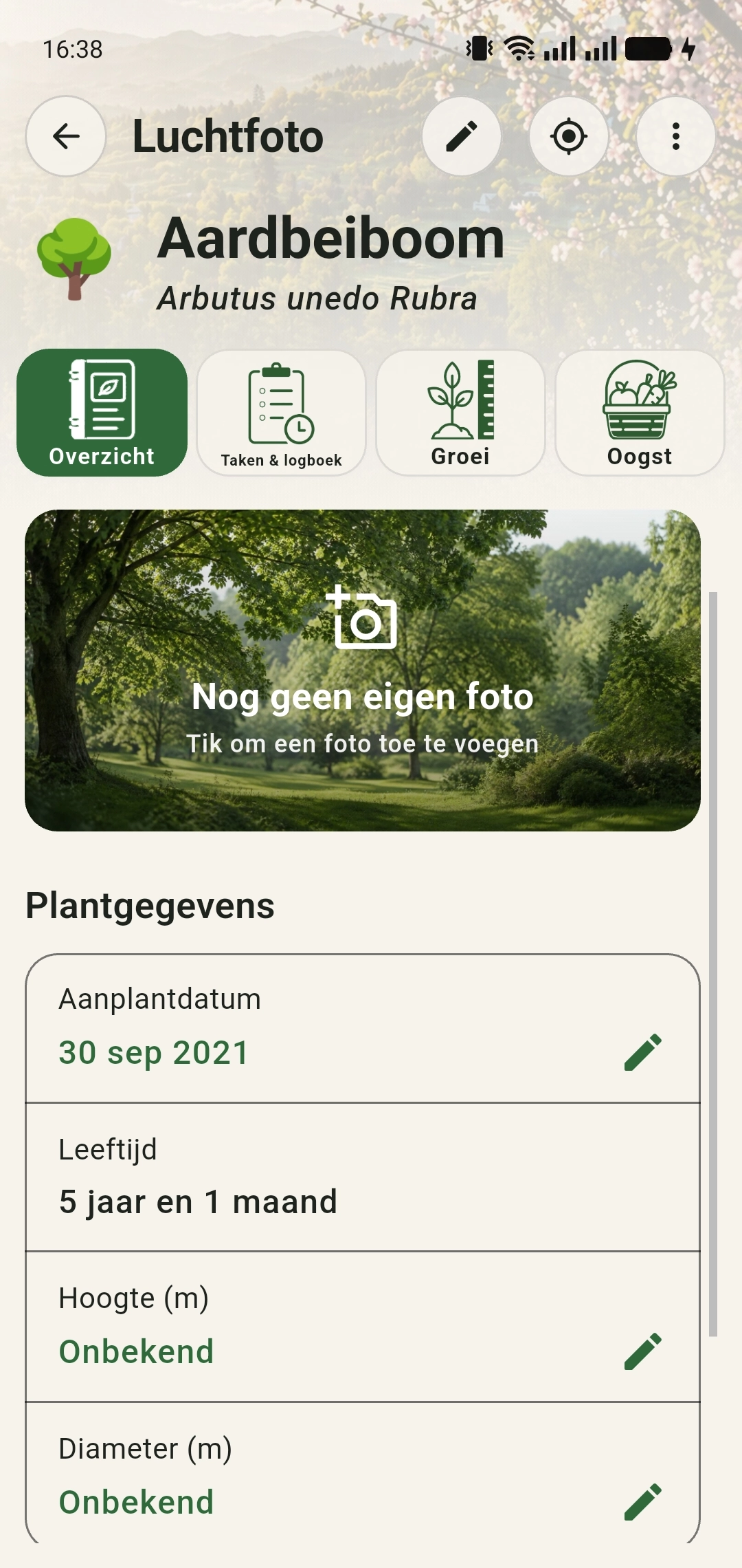 Begindossier van de aardbeiboom zonder eigen foto, hoogte en diameter