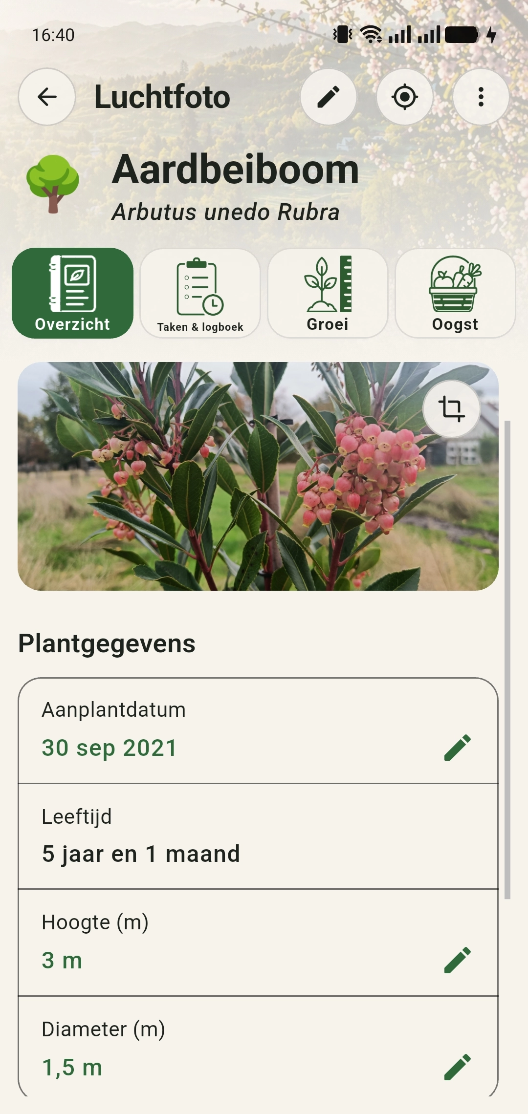 Aardbeiboom met een toegevoegde foto bovenaan het plantdossier en het uitsnede-icoon rechtsboven in de foto