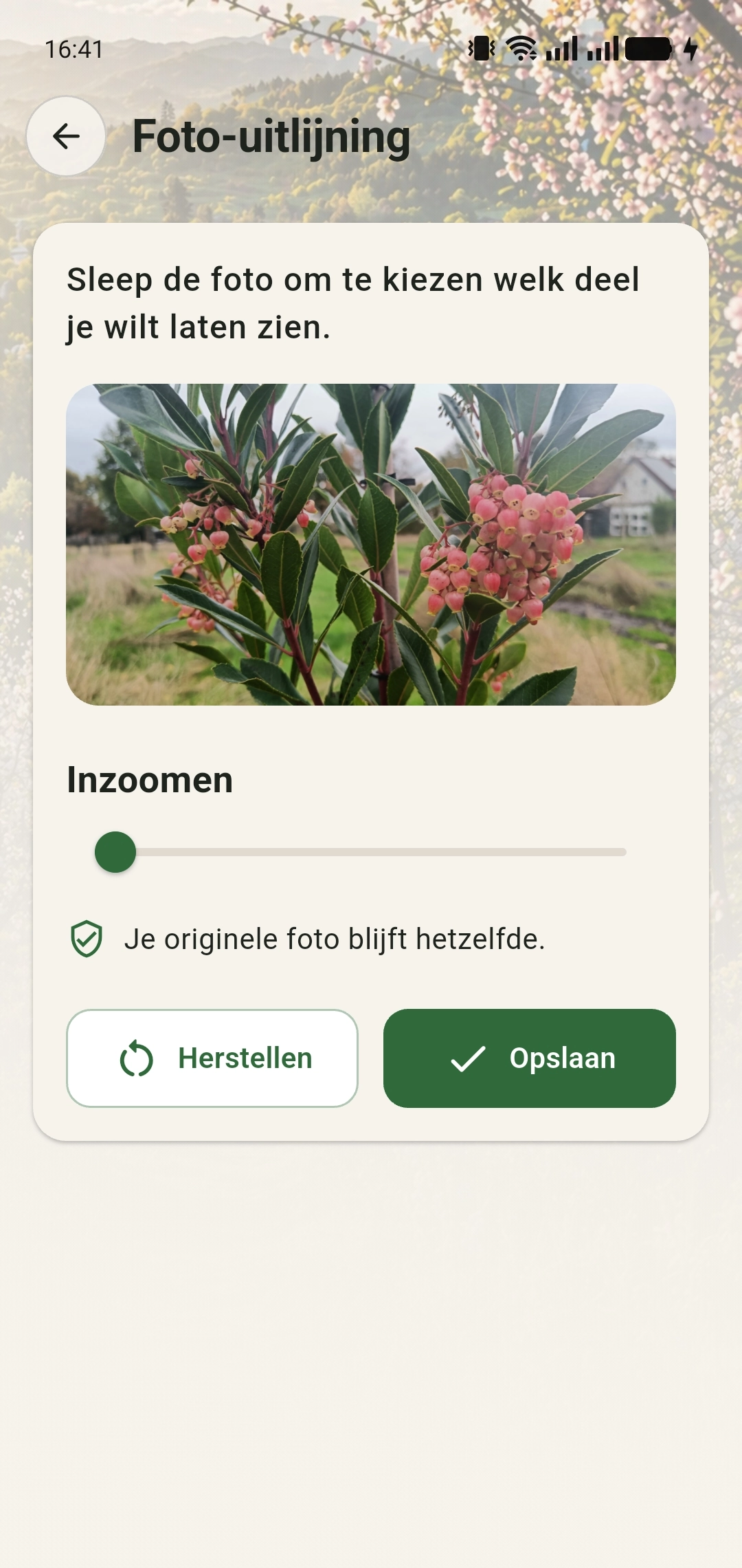 Scherm Foto-uitlijning met verschuiven, inzoomen en Opslaan