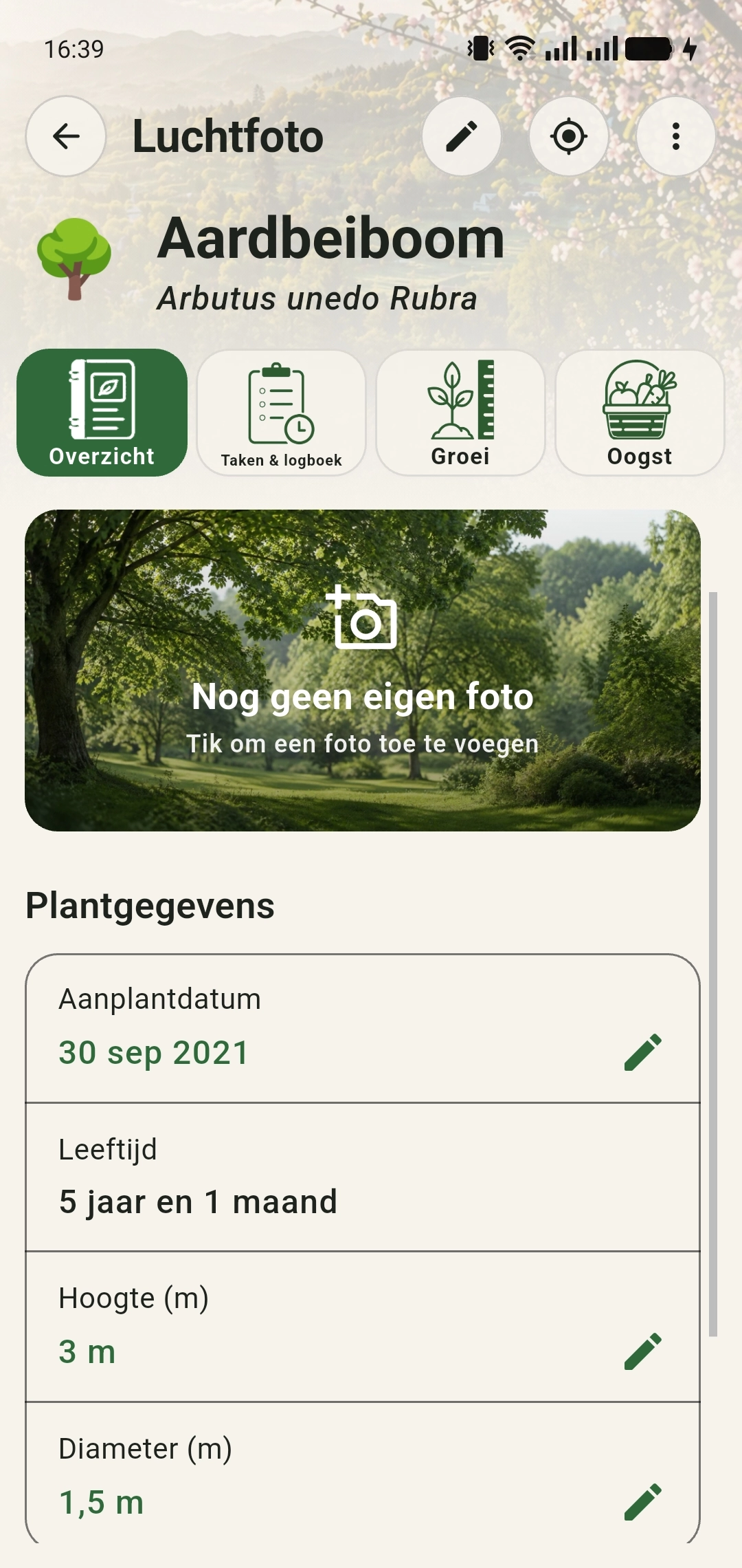 Overzicht van de aardbeiboom met een geregistreerde hoogte van 3 meter en diameter van 1,5 meter