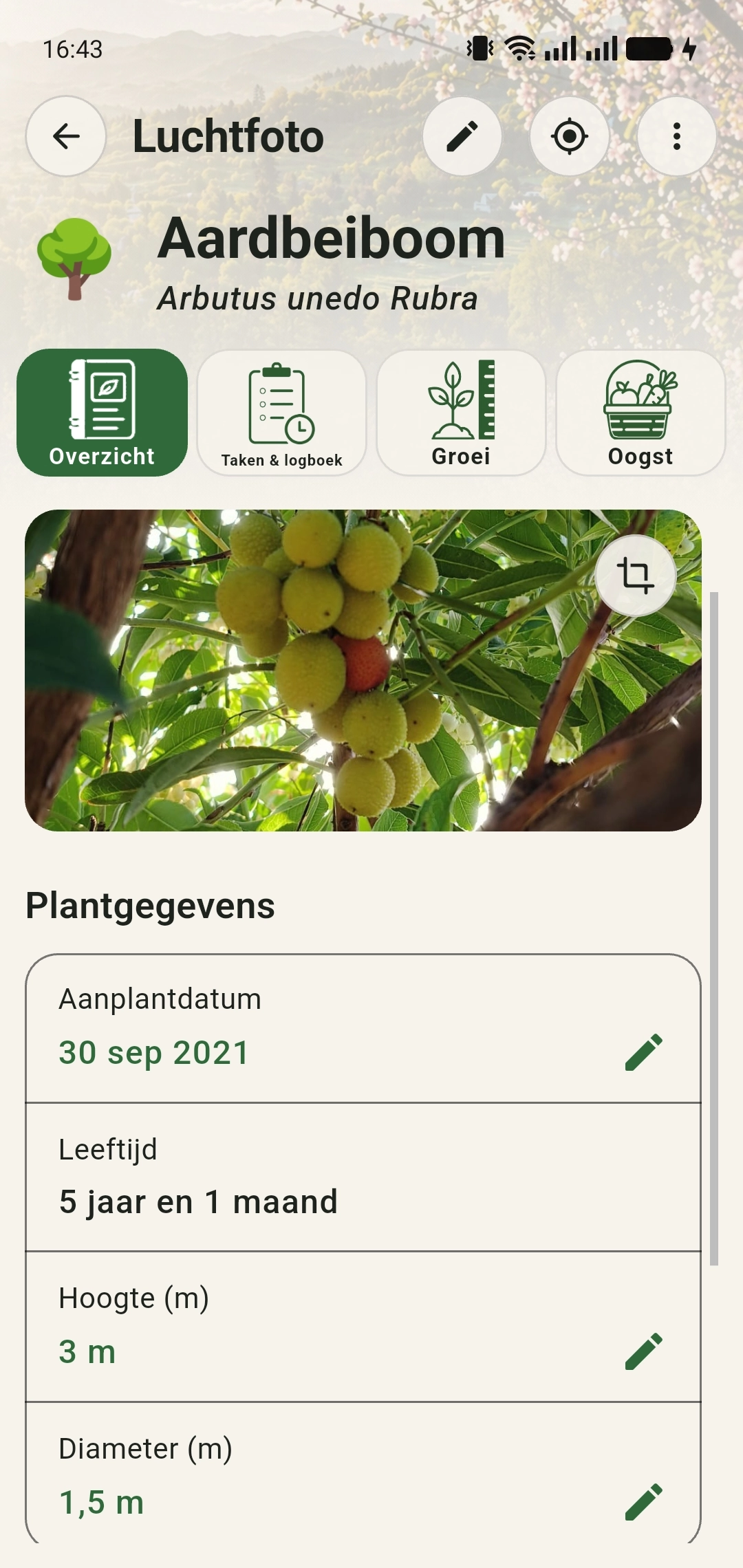 Plantdossier van de aardbeiboom met een gekozen hoofdfoto van de vruchten