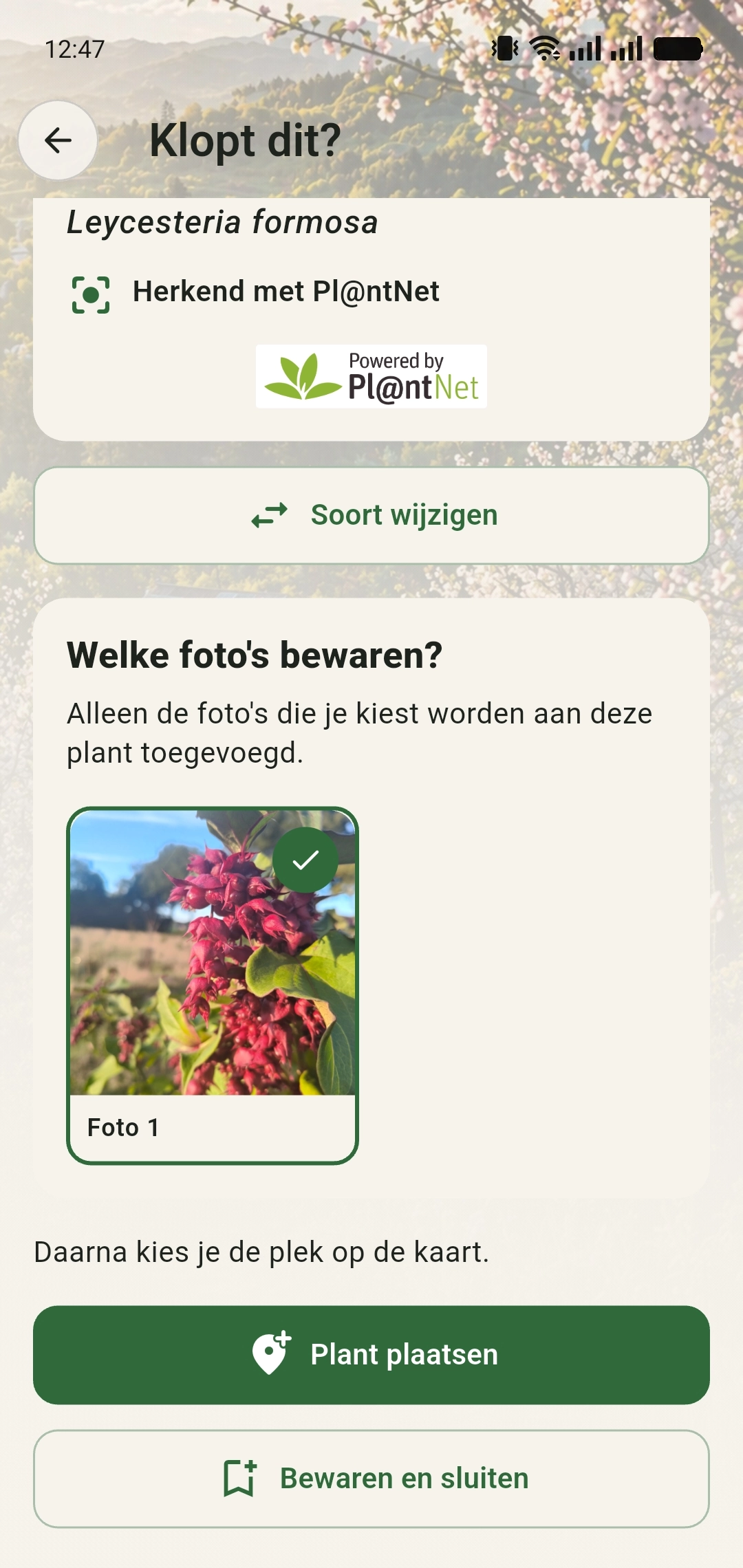 Keuze van te bewaren foto’s met Plant plaatsen of Bewaren en sluiten
