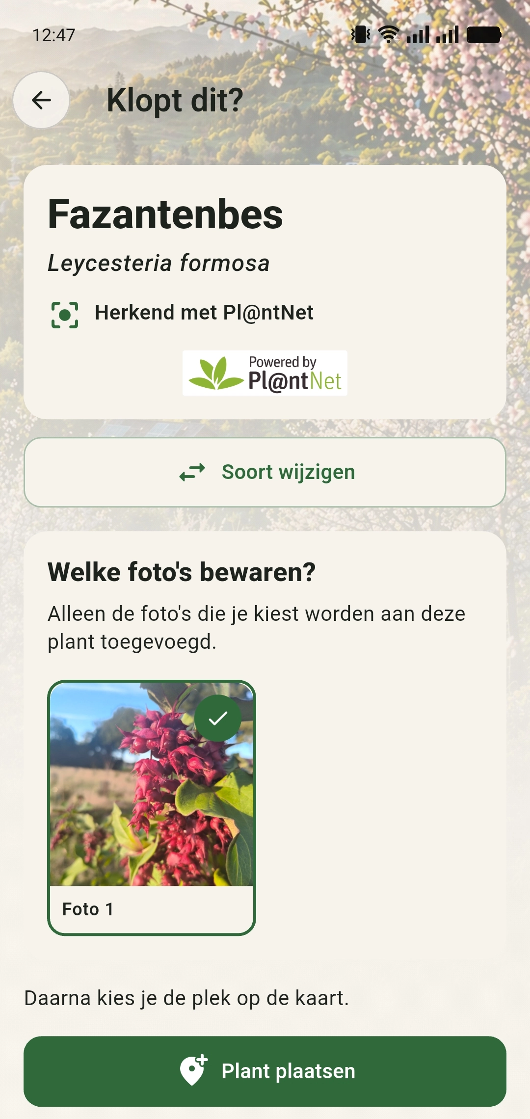 Pl@ntNet heeft de fazantenbes herkend en GreenPlot toont het scherm Klopt dit
