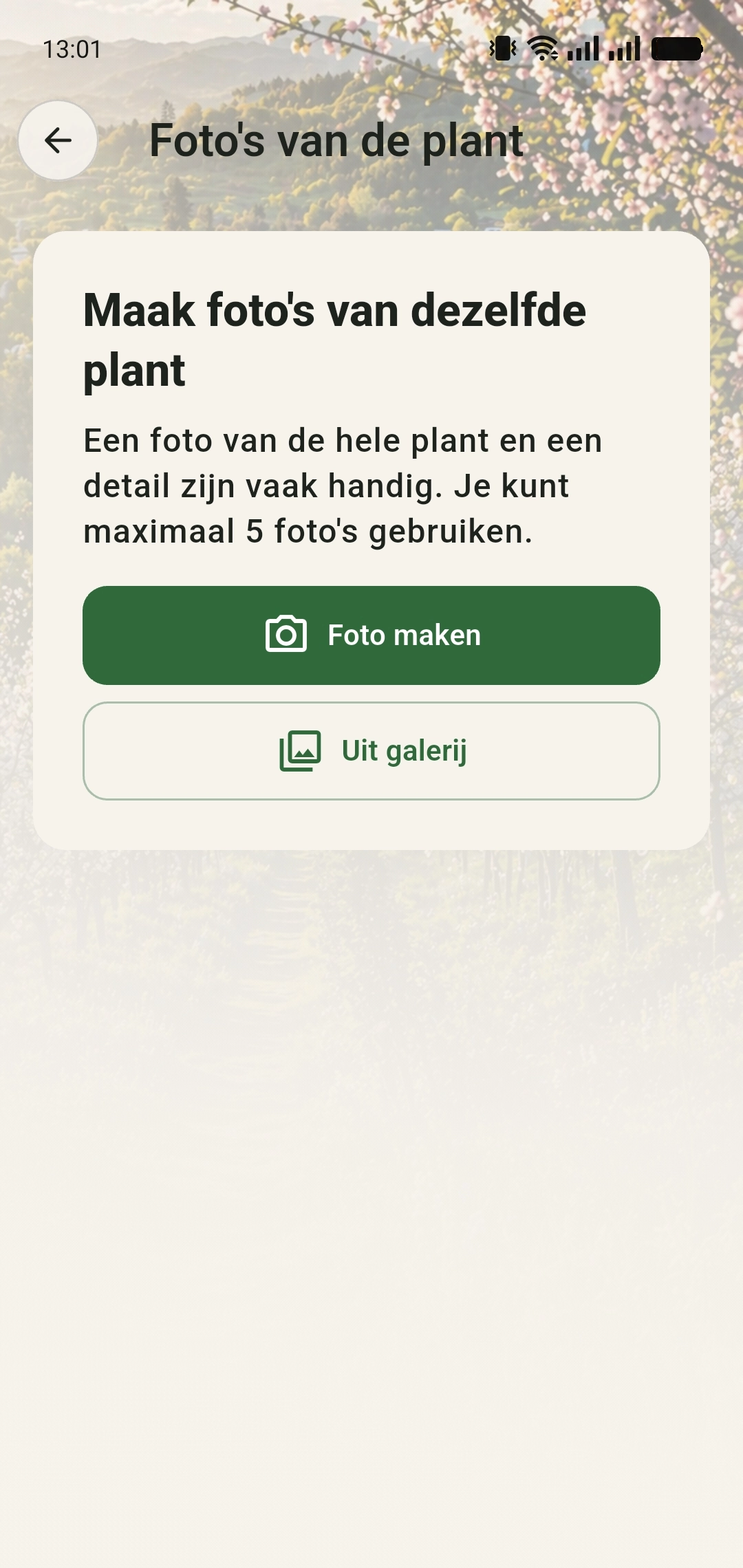 Foto’s van de plant: keuze tussen Foto maken en Uit galerij