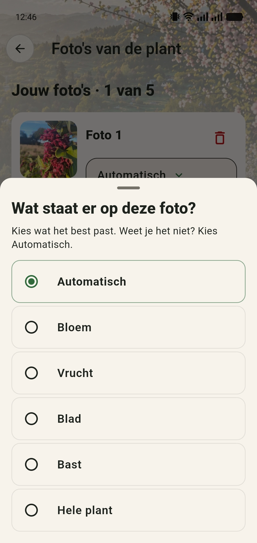 Menu Wat staat er op deze foto met opties Automatisch, Bloem, Vrucht, Blad, Bast en Hele plant