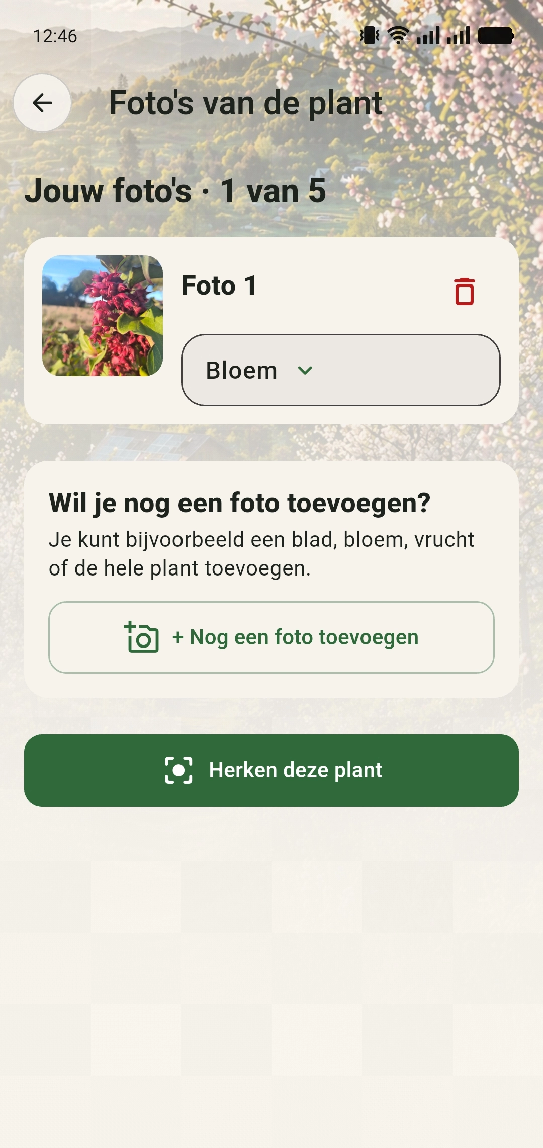 Gekozen foto van fazantenbes in Jouw foto’s met de knop Nog een foto toevoegen