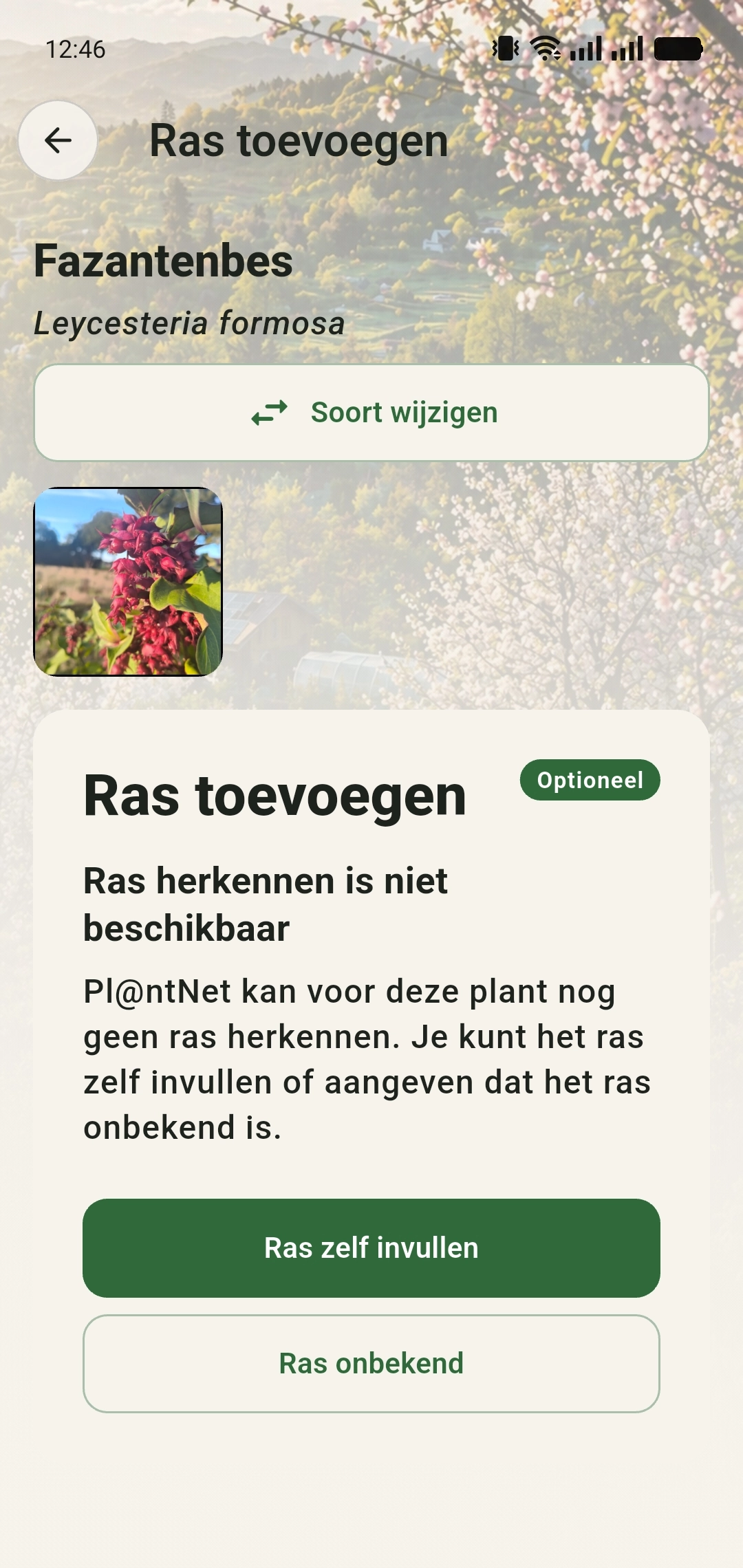 Scherm Ras toevoegen voor Fazantenbes met de keuzes Ras zelf invullen en Ras onbekend