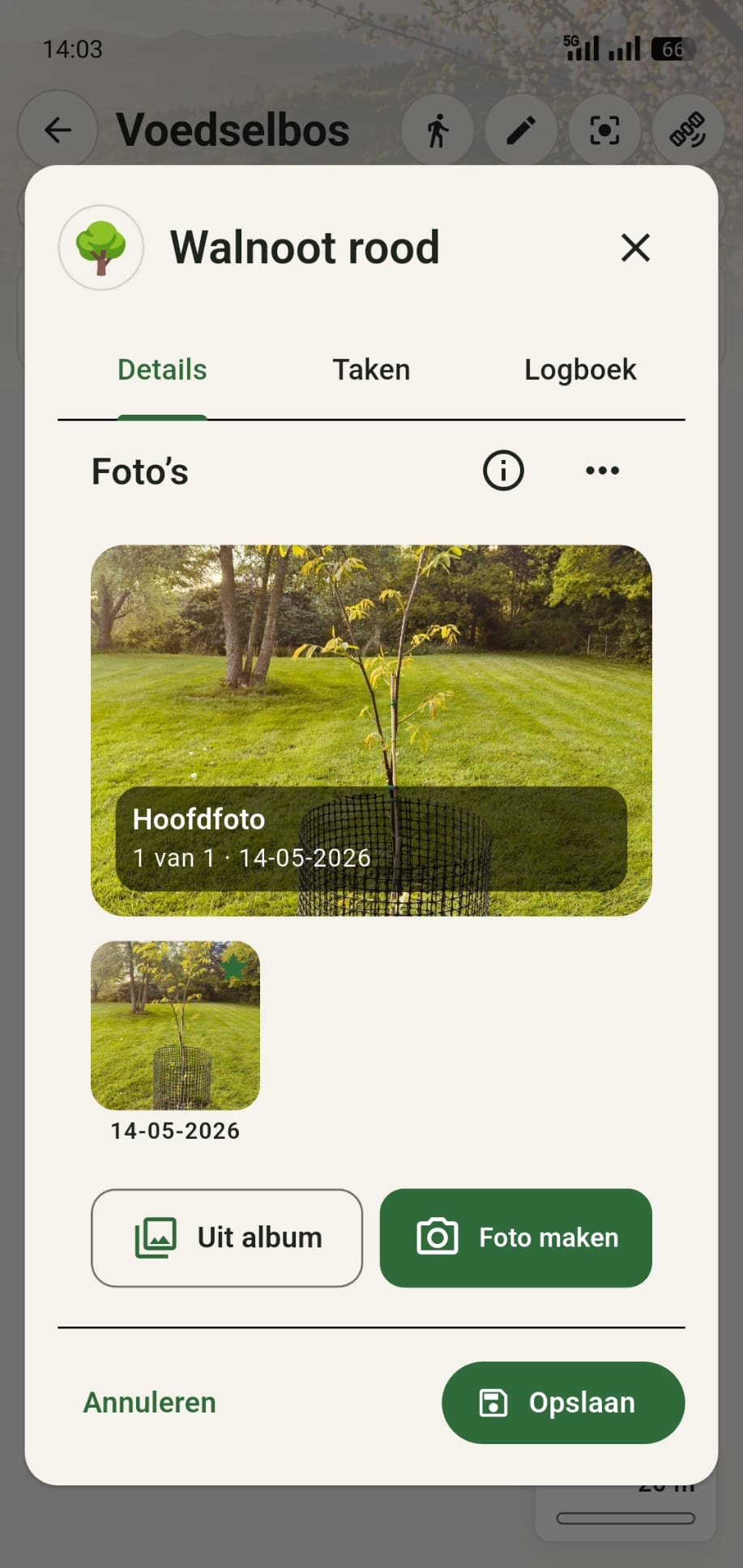 GreenPlot plantdetailsmenu van de rode walnotenboom met bestaande foto en de knop Foto maken