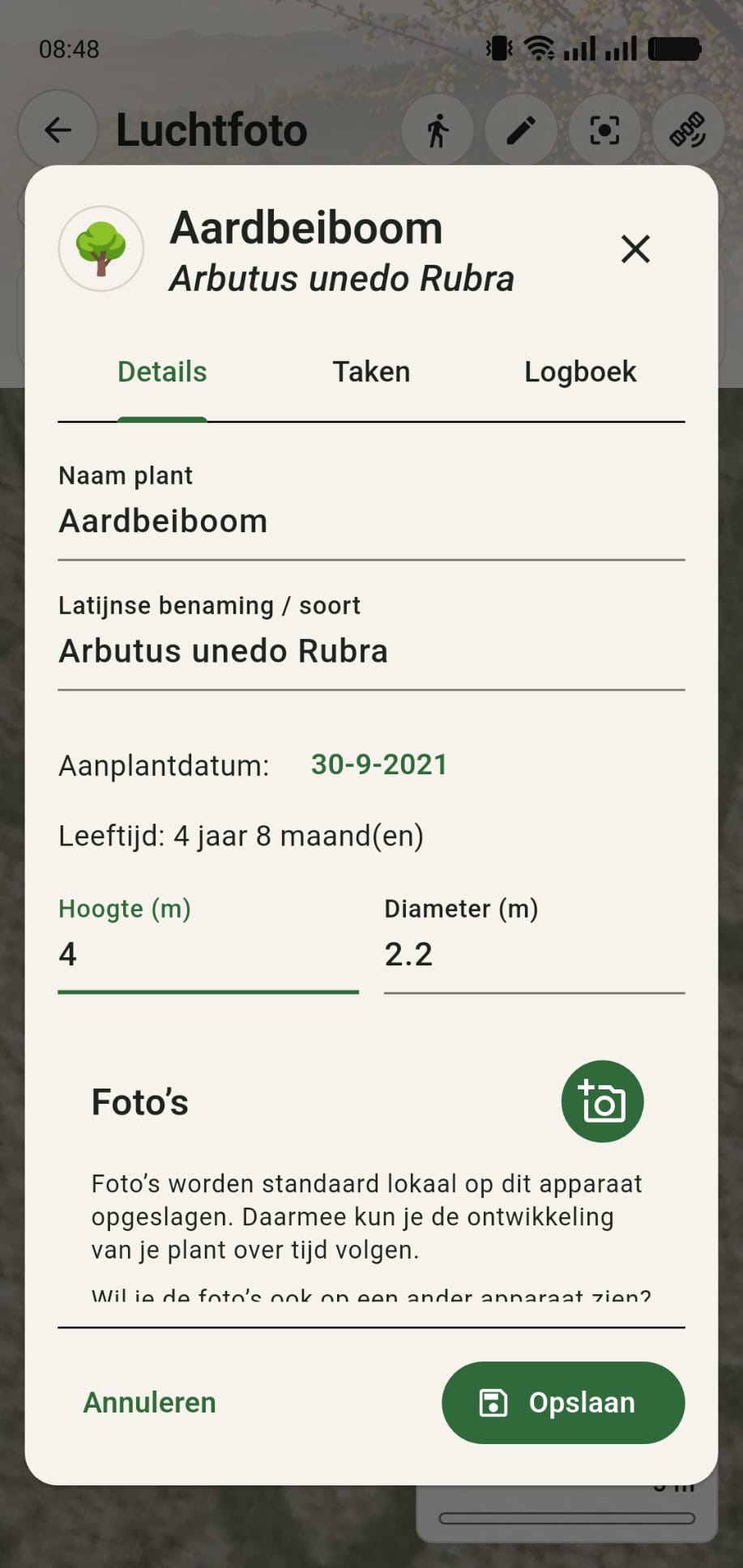 Ingevulde plantdetails voor Aardbeiboom met Latijnse naam Arbutus unedo Rubra