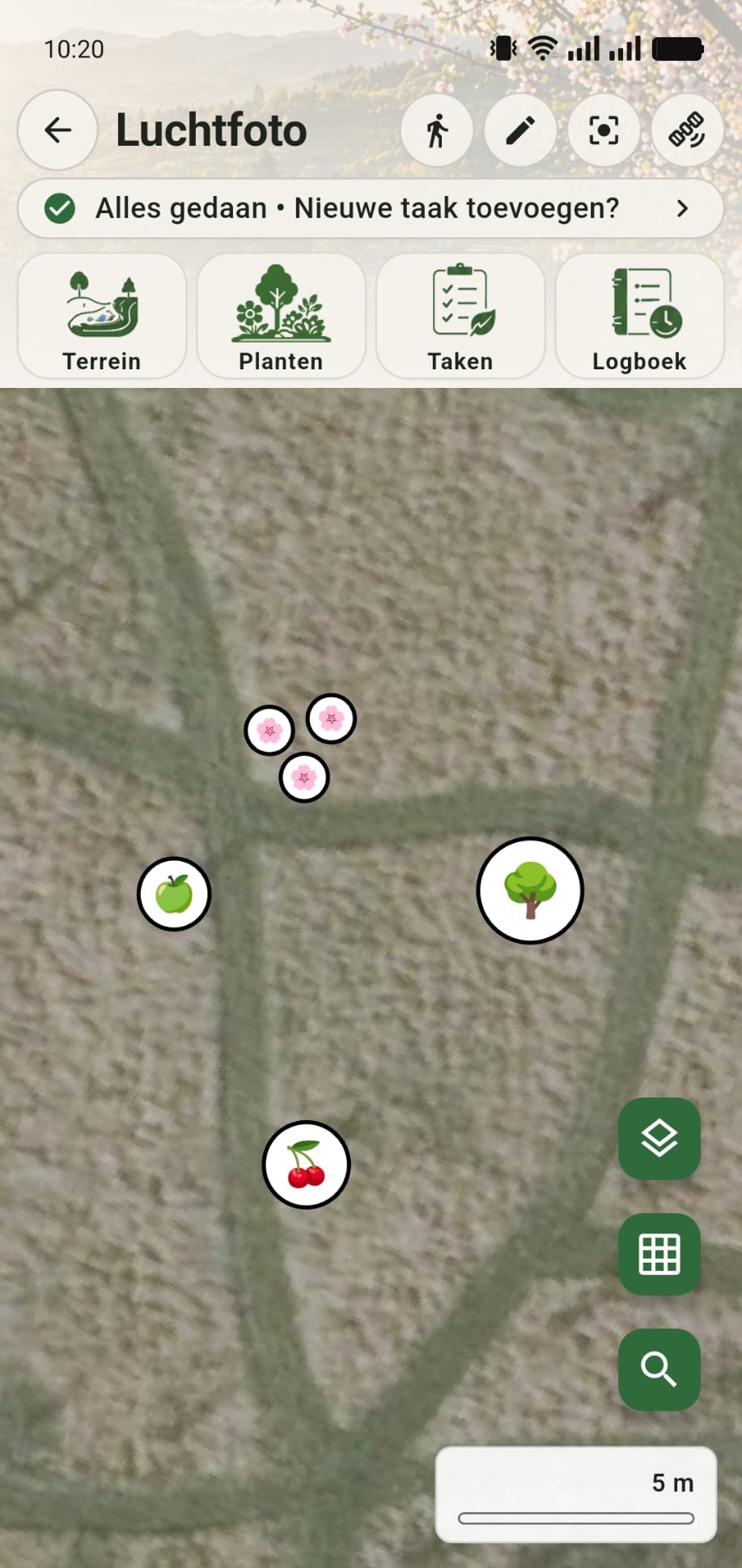 GreenPlot canvas nadat undo is gebruikt en de boom weer op zijn oorspronkelijke plek staat